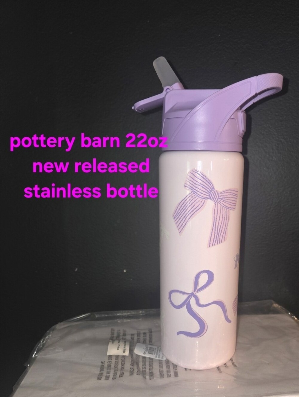 Pottery Barn Kids Bows Water Bottle 22 oz Insulated Tumbler Straw Stainless